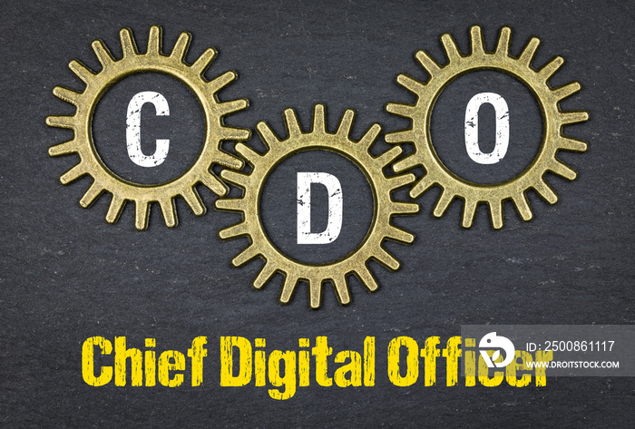 CDO Chief Digital Officer