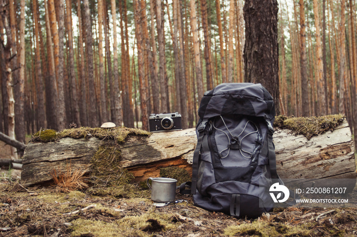 Tourist backpack, metal mug, camera in the forest. Concept of a hiking trip to the forest or mountains