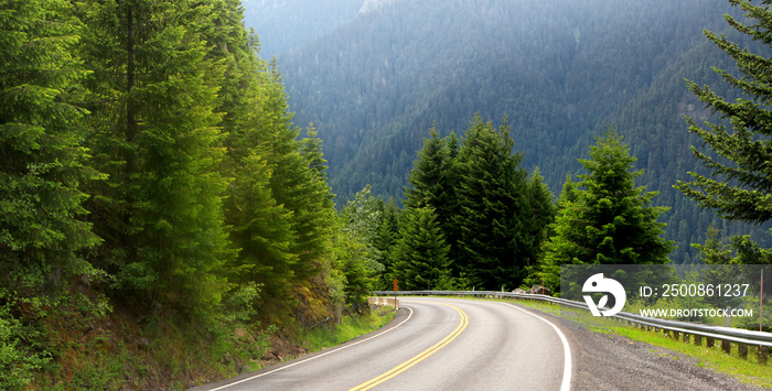 Scenic drive through Mount Rainier national park