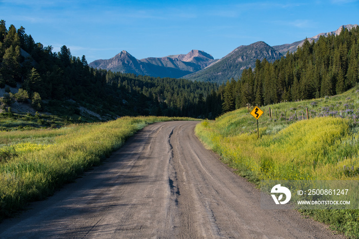 A dirt road with a yellow curved road sign curves  through wildflowers towards high mountain peaks in the Rocky Mountains near Pagosa Springs, Colorado