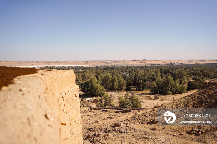 View of palm trees oasis from sand castle called Marid Castle, Qasr Marid