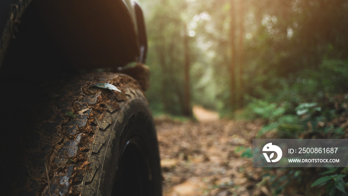 Off-road vehicles drive on the dirt road in the forest with warm light.