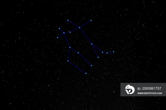 nightscape, night full of stars, view into a bright night sky of the northern hemisphere constellation Gemini, Twins