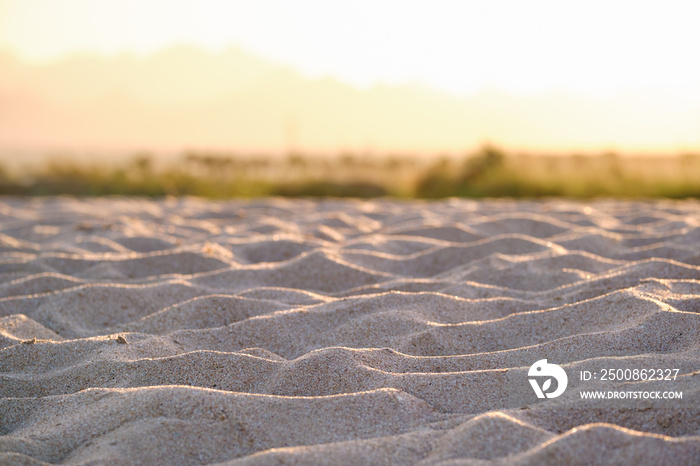 Close up of clean yellow sand surface covering seaside beach illuminated with evening light. Travel and vacations concept