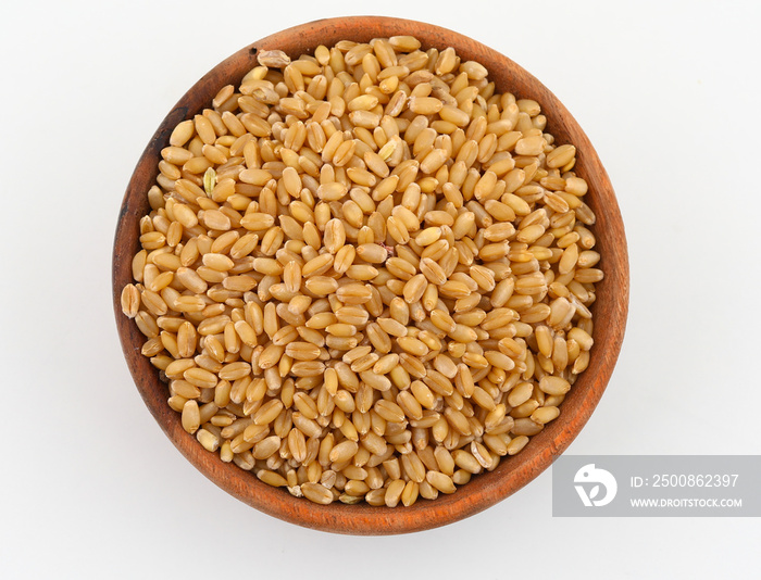 Fresh and Healthy Wheat Grains