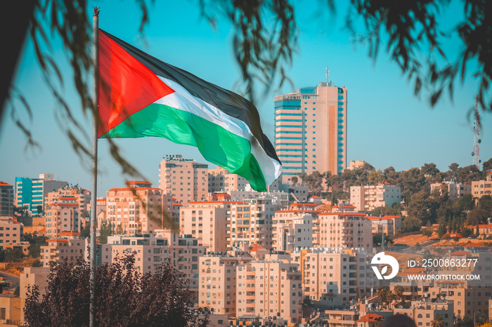 Palestinian flag as through the tree leaves. The symbol of Palestinian strife for independence, Palestinian state with some buildings on the background
