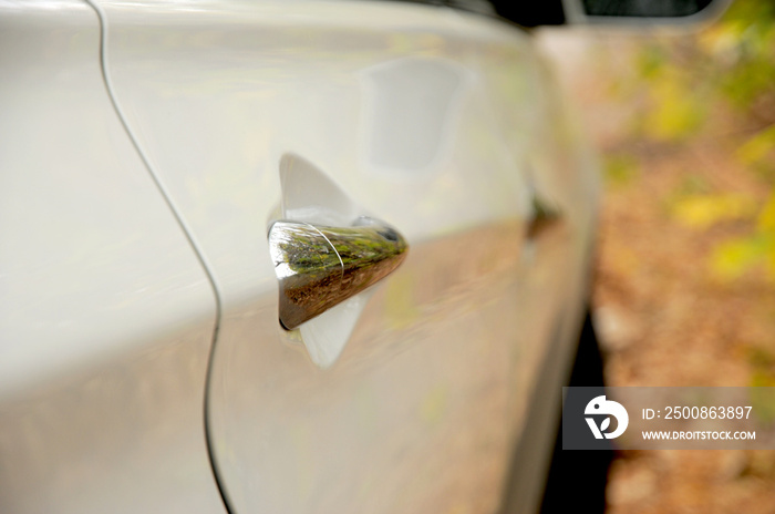 White korean car in details on autumn background