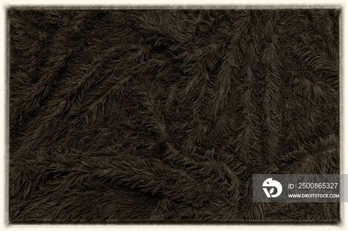 abstract background of detail bright pattern texture shaggy fur with long fibers.