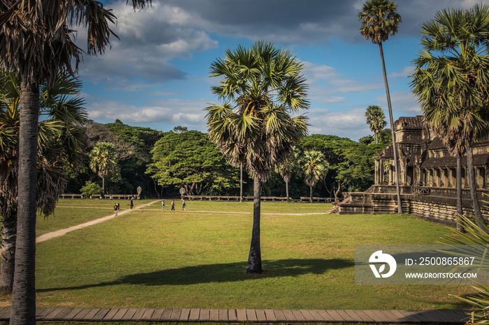 palm tree on a green field in front of an ancient temple