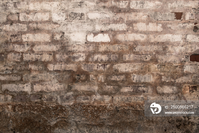 Brick wall in the basement with mold and dirt