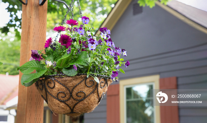 Beautiful spring floral basket hanging from a wooden post with the partial view of a house in the background