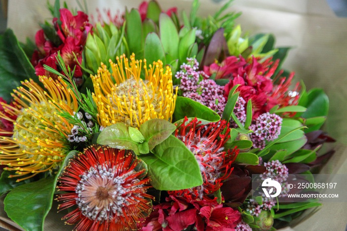 Australian native flowers