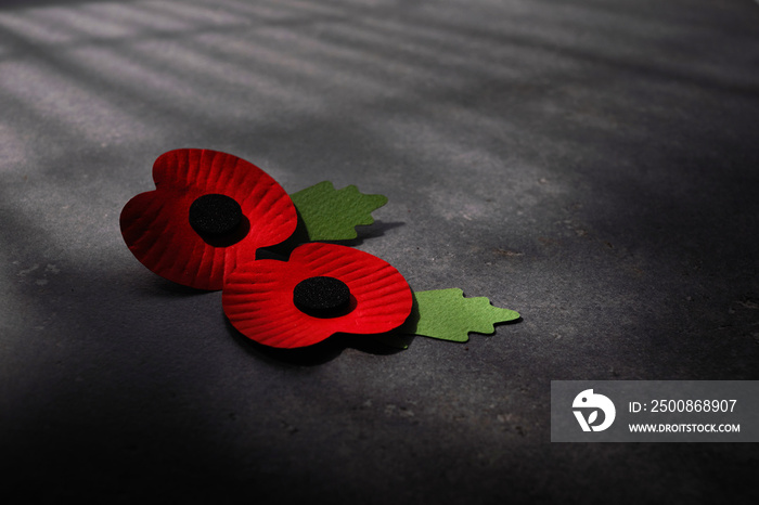 World War remembrance day. Red poppy is symbol of remembrance to those fallen in war. Red poppies on dark stone background