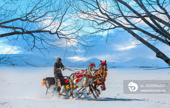 Horses pulling sleigh in winter - Cildir Lake, Kars