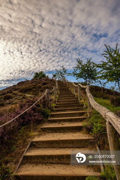 Teufelsmauer - Sachsen Anhalt - Harz - Weddersleben