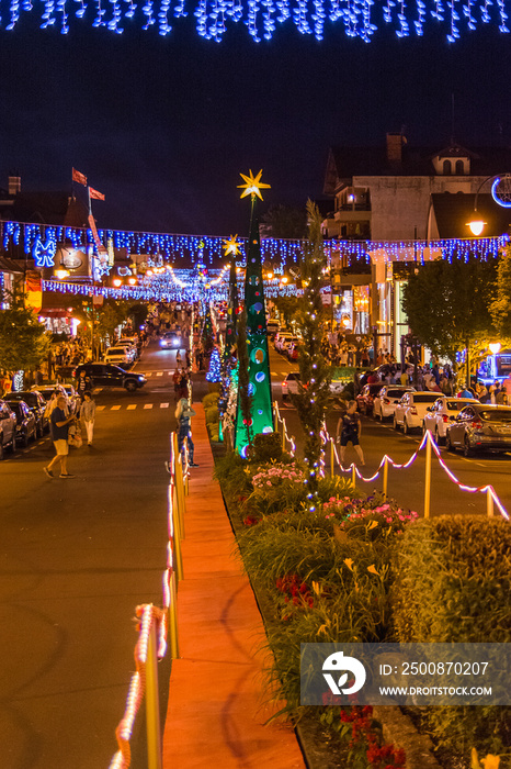 the city decorated for christmas light