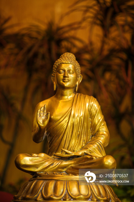 Lord Budha