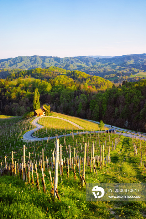 Famous Slovenian and Austrian heart shape wine road among vineyards of Slovenia. Scenic landscape and nature near Maribor in Slovenija. Unique tourism on green hills.