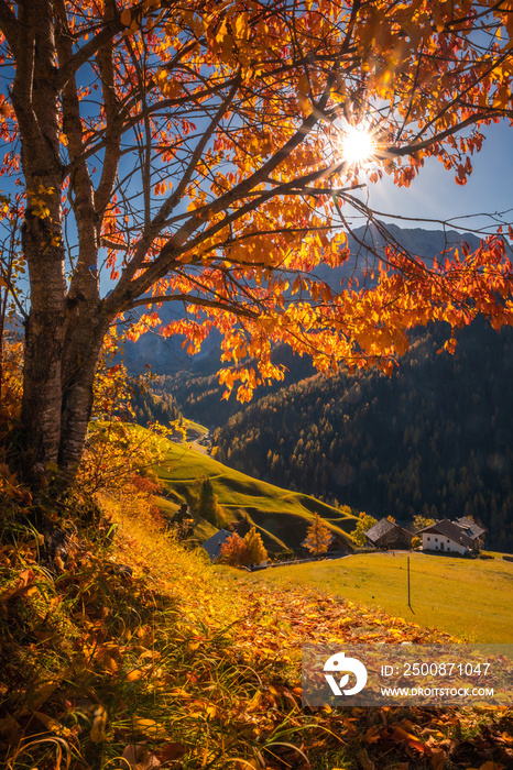 Autumn in the Italian Dolomites. The most beautiful time of the year to visit this place. Beautiful colors and breathtaking views. Mountain peaks above the valleys.