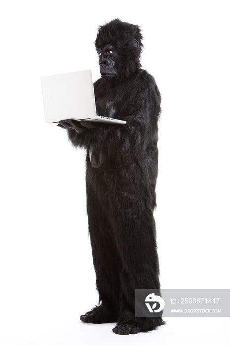 Young man in gorilla costume using laptop against white background