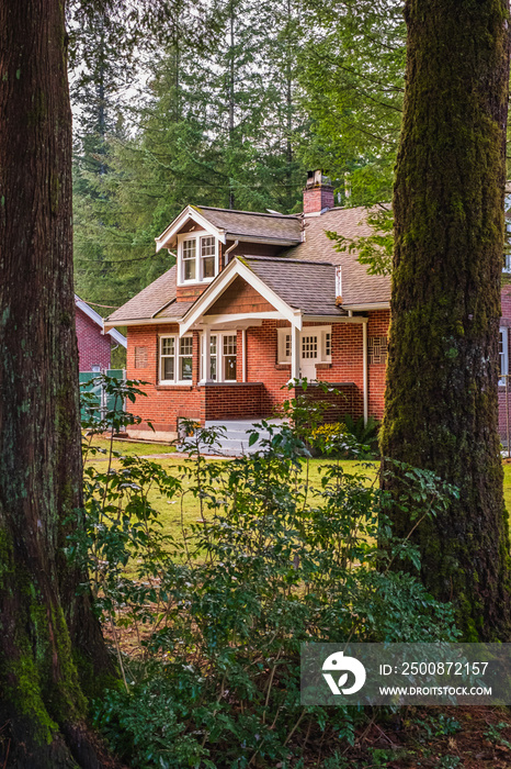 Beautiful red brick single family home with green grass and large trees. Big house with porch surrounded by nice nature