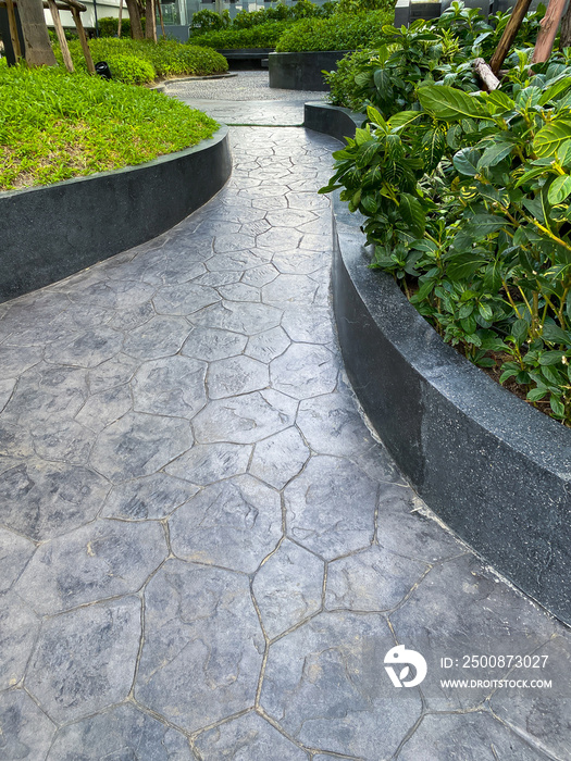 Beautiful walkway in the garden with trees