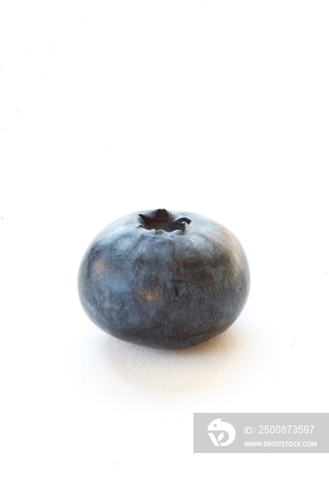 single blueberry