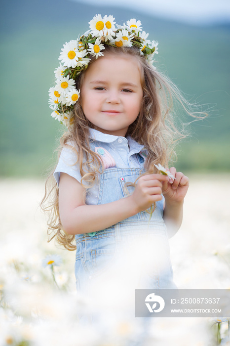 Beautiful little girl with long curly blond hair,cute smile,light blue denim overalls,a white wreath of fresh flowers,holding hands of white flower,walking on a field of blooming daisies