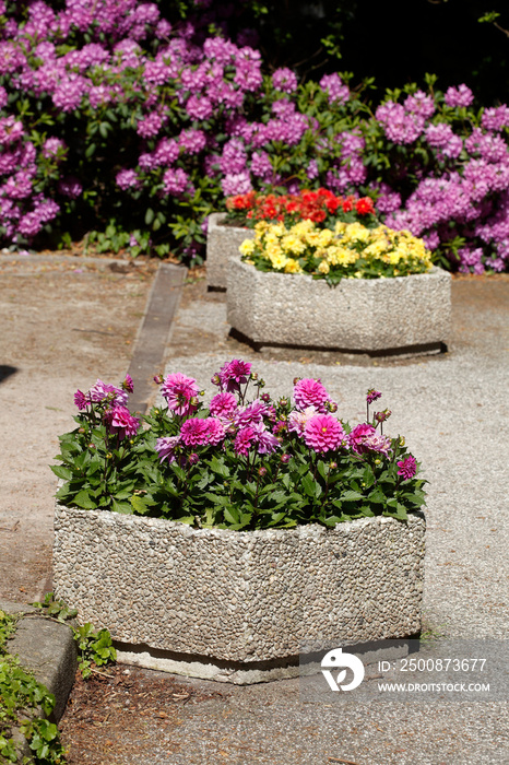 Blumenkübel aus Stein mit Sommerblumen, Deutschland