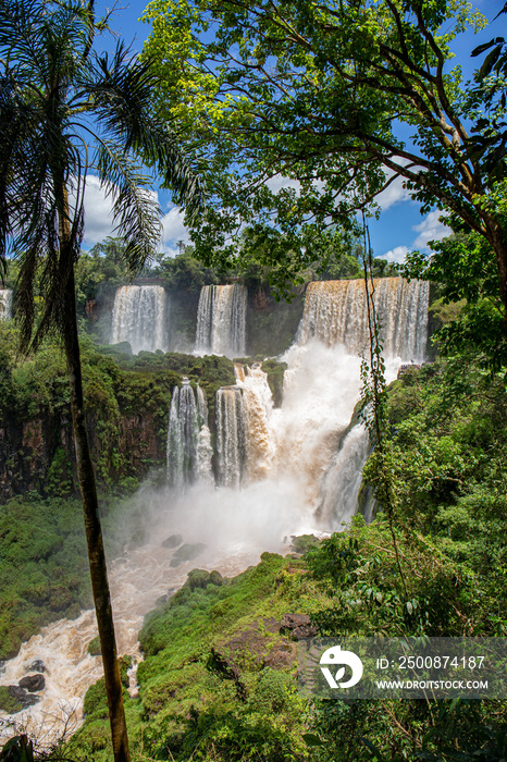 View through trees to cascading waterfalls and blue sky, Iguazu Falls, Argentina