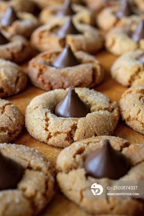 Peanutbutter blossom cookies with a vertical crop.  Macro shot from side.