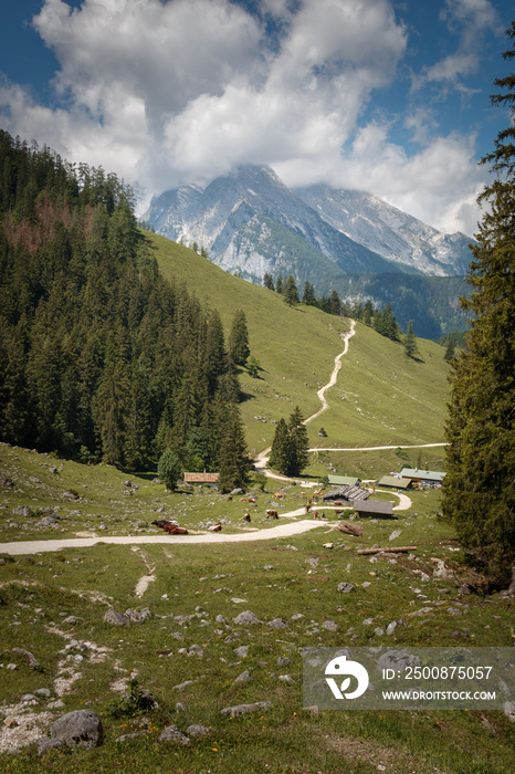 Weg zur Königsbachalm mit Blick zum wolkenverhangenem Watzmann auf dem Jenner im Nationalpark Berchtesgaden