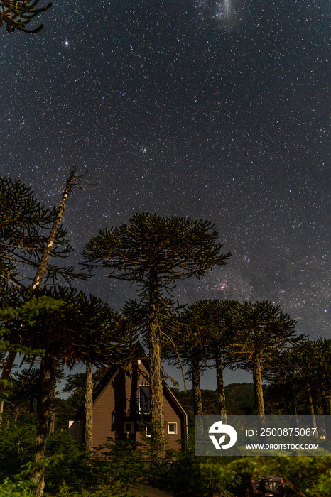 The stars from Conguillio National park