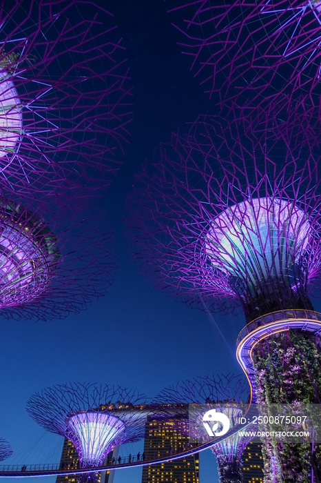 Singapore, Gardens by the Bay, HDR image