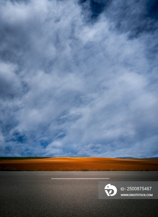 Isolated road and crops under cloudy sky