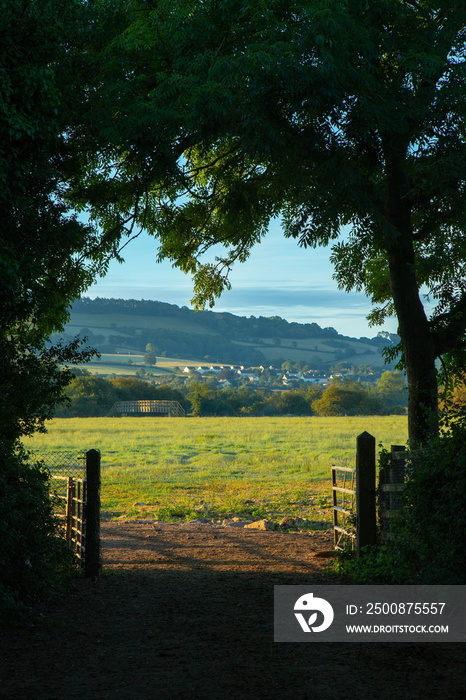 Farmland near town of Axminster in East Devon, UK.