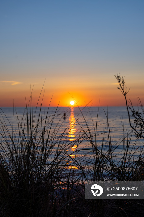 Wild dune plants with sunset over lake Michigan