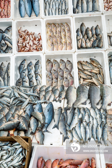 Fresh fish in traditional food market in Beirut, Lebanon.