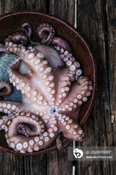 Octopus is raw, ready to cook. Close-up of a fresh raw octopus. seafood delicacy.