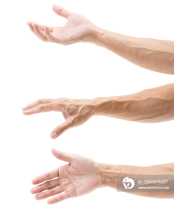 Set of asian man hands isolated on white background