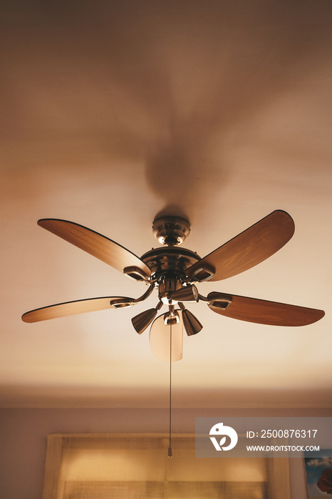 Wooden roof fan inside a home