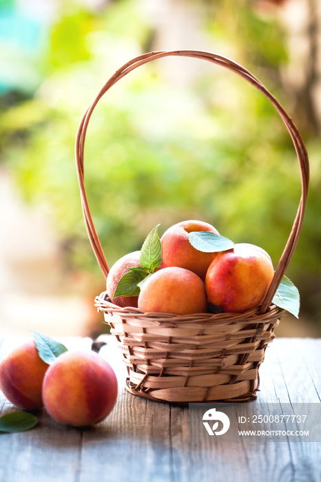 Fresh peaches in the basket