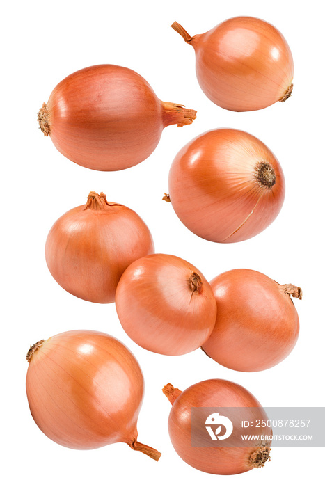 flying onion isolated on white background. full depth of field. clipping path