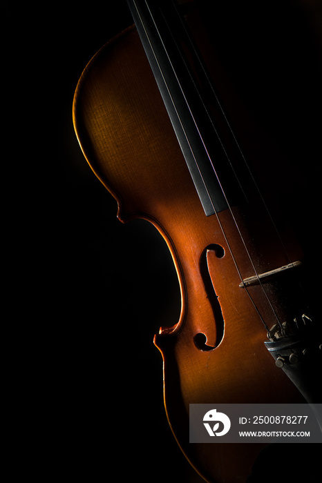 Violin on a black background in oblique light on one side