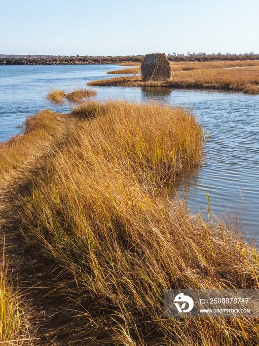 Scarborough Marsh 3