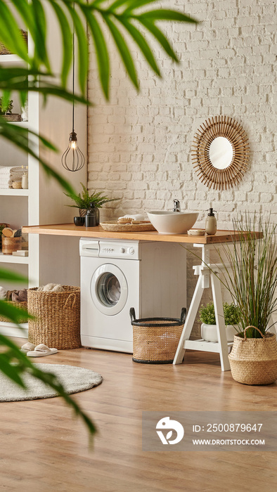 Modern washing room and machine style, bookshelf wooden table and botanic vase of plant.