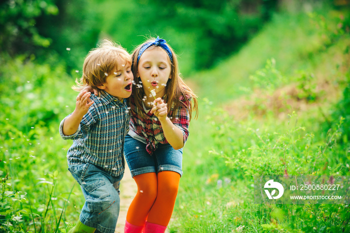 Kids walking in summer field. Little friends blowing dandelion seeds together in a park. Smiling and laughing kids having good time outside on summer warm day.