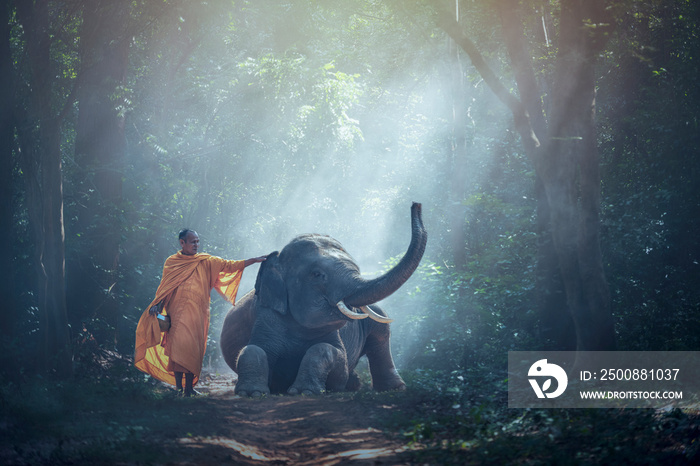 Monk and Elephant at Thailand countryside