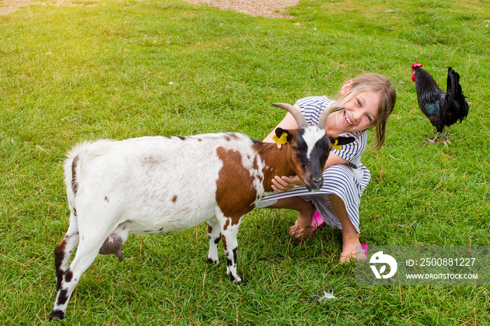 beautiful girl on holiday at the farm donating to goats