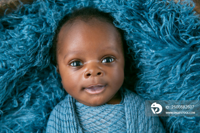 Newborn Baby Boy Swaddled in Blue